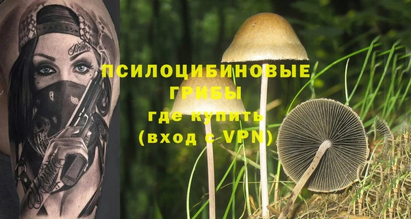 MDMA Premium VHQ Горнозаводск