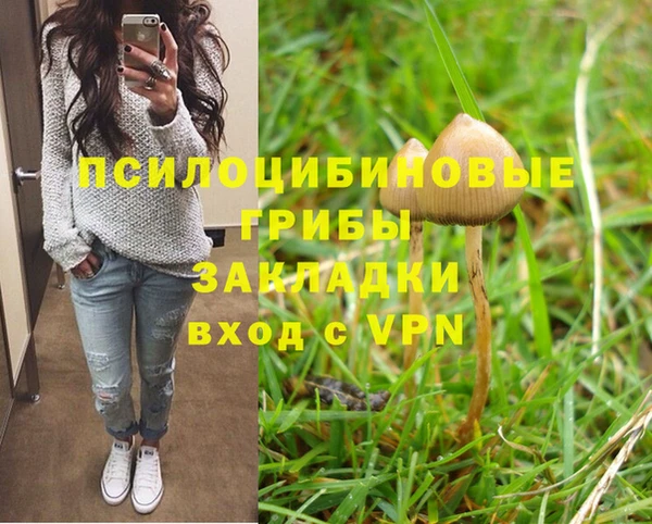 таблы Заводоуковск