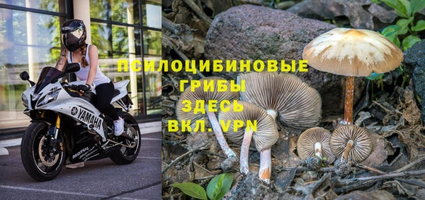 винт Балабаново